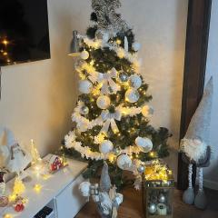 Apartament na poddaszu