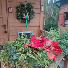 Domki Na Winnicy Zator Przeciszów