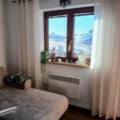 Apartman Montis