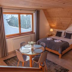 Osada Witów - apartament „Siwa Kopa”