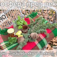 Galeria In The Garden