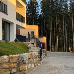 Chalet Velvet by Fomich