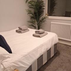 Victorian Suites Apartment