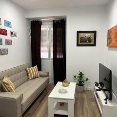 Puerta del Angel, reformado, acogedor, junto al río, 8 minutos al centro