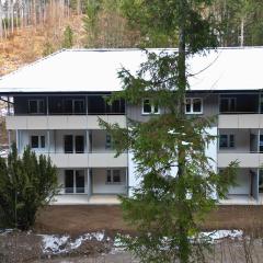 Treehouse - Alpinlake Apartments