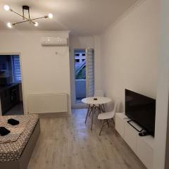 Anghel House- Militari Residence