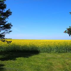 Holiday apartment with 2 bedrooms