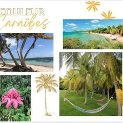 Couleur Caraïbes- 2 Appartements Communicants Vue Mer Pierre&Vacances