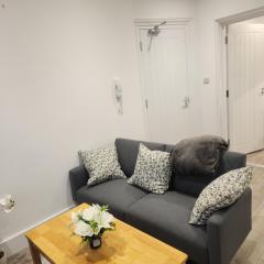 Oxford Central city apartment