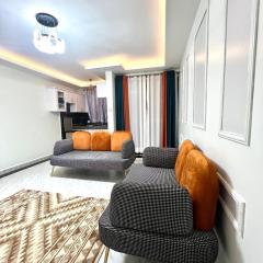 Spacious One Bedroom Apartment in Kampala