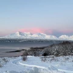 Above The Arctic circle