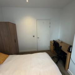Luxurious and Spacious Central London room in Canary Wharf with a City View & a Private Bathroom