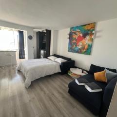 Open Space Mini Craiovei