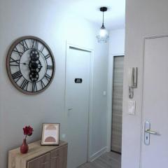 Charmant F2 centre Issoire avec jolie Vue Sancy et Livradois- WiFi