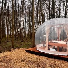 Bubbeltent in bos met hottub, 20m Amsterdam