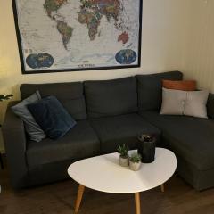 Gimle cozy apartment