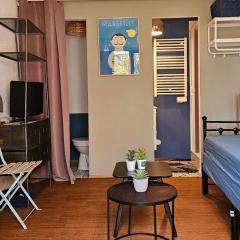 Studette indépendante et coquette avec terrasse sur jardin