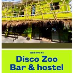 DISCO ZOO Bar & Hostel