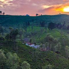 Mad & Nomad Backpackers Hostel