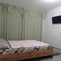 1 комнатная квартира в Авиагородке