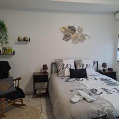 Meublé 3 étoiles en centre-ville