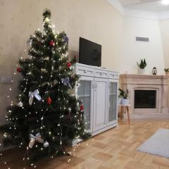 One bedroom apartment with balcony-Kostyushka street,16