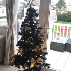 Chill Out at Seton Sands