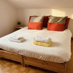 Le Petit Mulhouse - 401 Le Dream