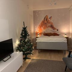 Studio Fox-Private Sauna, Free Parking, Cozy Winter Stay Near Centre