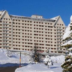 Monolocale residence Paradiso Aremogna