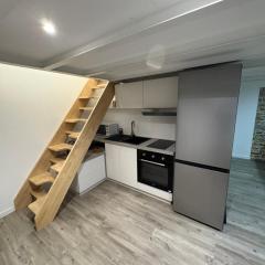 Le Cosy de Croix-rousse