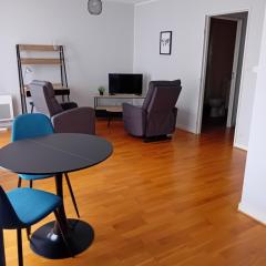 FORUM 134, 36 m2 en plein centre ville