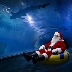 Leśna Przystań Rumia