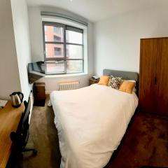 Luxurious and Spacious Central London room in Canary Wharf with a City View & a Private Bathroom