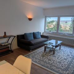 Panoramablick vom Rodenberg