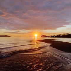 Emma's Homestay Explorer