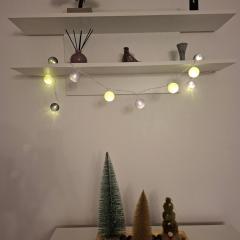 Studio apartman Franka