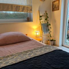 Art gallery near Pardubice