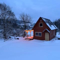 Domki na granicy - Kurów