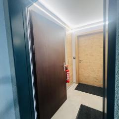 Cosy Modern Alpine Residence