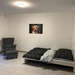 Neubau mit Garten Mainz Wiesbaden Frankfurt Airport