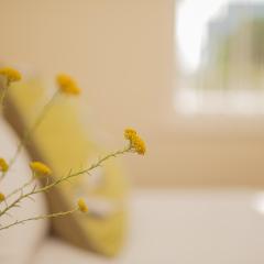 Charming Historic Home in Central Stellenbosch