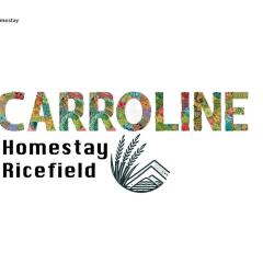 CARROLINE homestay ricefield