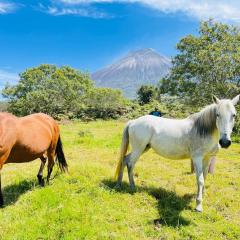 Hosteria Taita Pacho