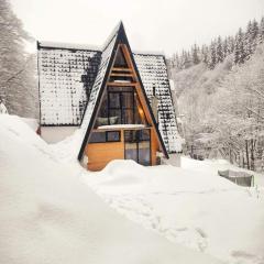 Cabana Aframe Blidari