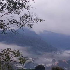 Camelliana Horizon Pongyang