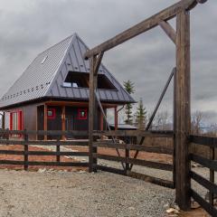 Casa Aproape de Stele din Beliș, Apuseni