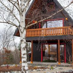 Casa Sunetul Padurii din Belis Apuseni