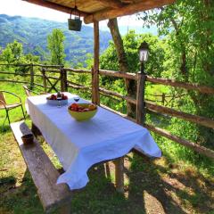 Rustic Holiday Home in Ortignano with Swimming Pool