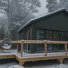 Lakefront Studio Cottage #8